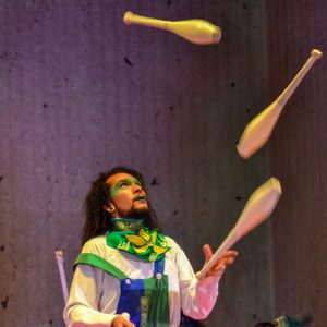 Fiesta Infantil: Recreación, Show De Circo Y Show de Fuego, 15 Niños Máximo - Plan Mercurio